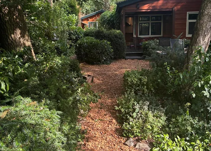 Huisjes Op De Veluwe *