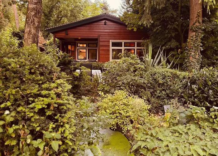 Huisjes Op De Veluwe Semesterbostad *