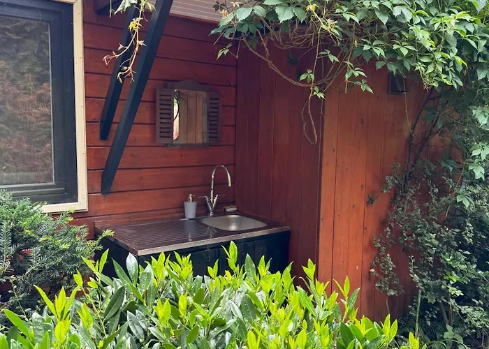 Huisjes Op De Veluwe * Emst