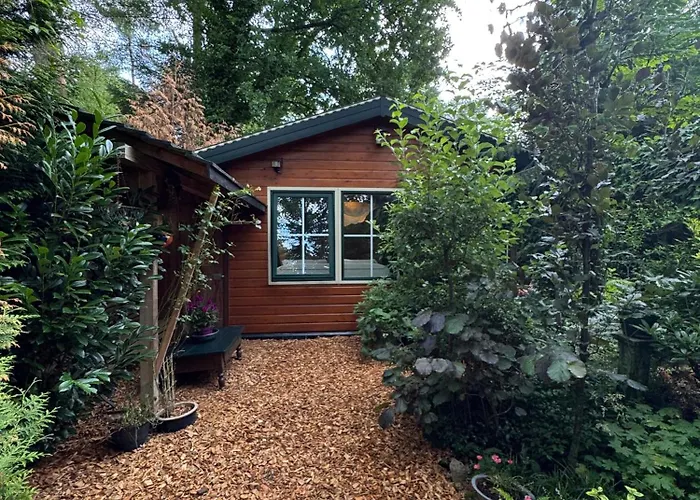 Semesterbostad Huisjes Op De Veluwe Emst