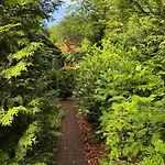 Semesterbostad Huisjes Op De Veluwe Emst