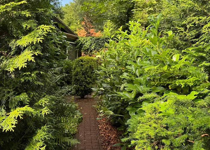 펜션 Huisjes Op De Veluwe 엠스트