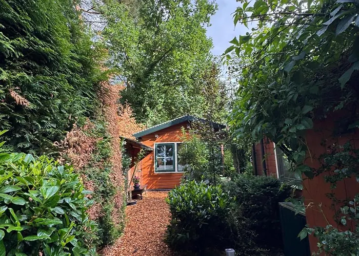 Huisjes Op De Veluwe *