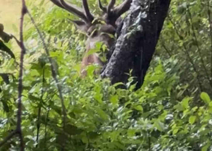 펜션 Huisjes Op De Veluwe 엠스트